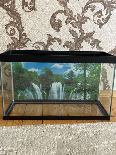 filter akvarium: Dördbucaq akvarium, Boş, 15 l, Ünvandan götürmə