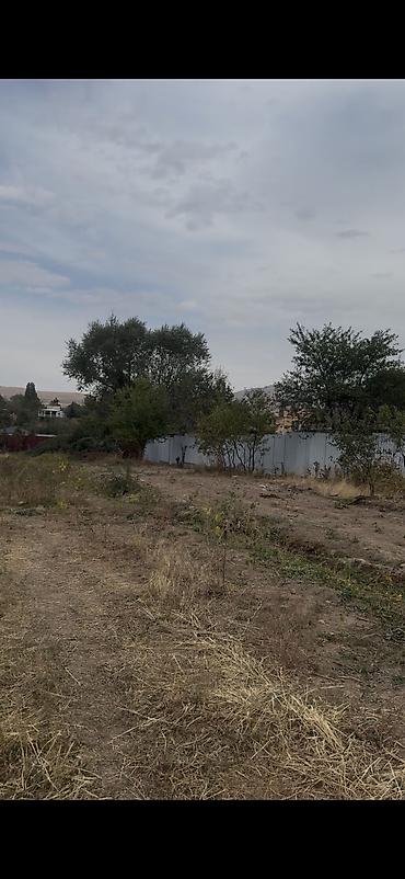 софхоз ала тоо: 500 соток, Для сельского хозяйства, Договор купли-продажи — 1