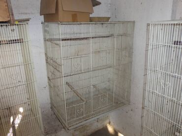 куплю птиц: Продаются клетки (вольеры) в нормальном состоянии. 3 штуки (белые) 75