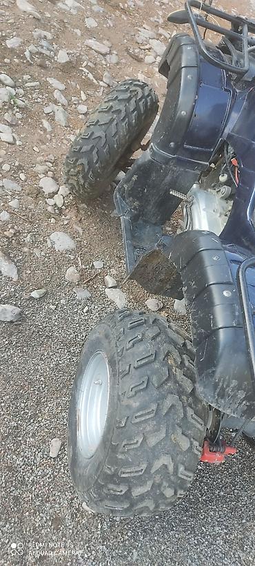 яди мото: Квадроцикл Yamaha, Бензин, 200 куб. см, Взрослый — 5