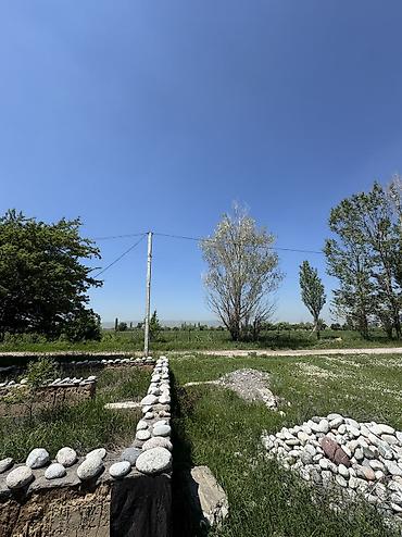 бир: 5 соток, Курулуш, Кызыл китеп — 8