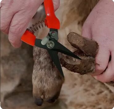 садовые ножницы: Ручные секаторы