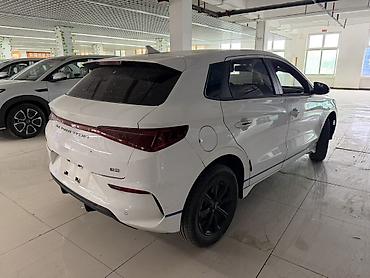 BYD: BYD E2: 2023 г., Электромобиль, Купе — 4