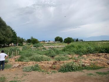продаю дом с новопавловка жм алтын ордо: 13 соток, Айыл чарба үчүн, Кызыл китеп