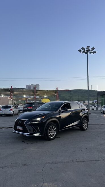 Lexus: Lexus NX: 2019 г., 2 л, Типтроник, Бензин, Кроссовер