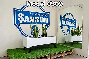 dibçek gulleri: 🌿 ŞANSON | DEKORATİV DİBÇƏKLƏR Evinizə və həyətinizə xüsusi gözəllik — 6