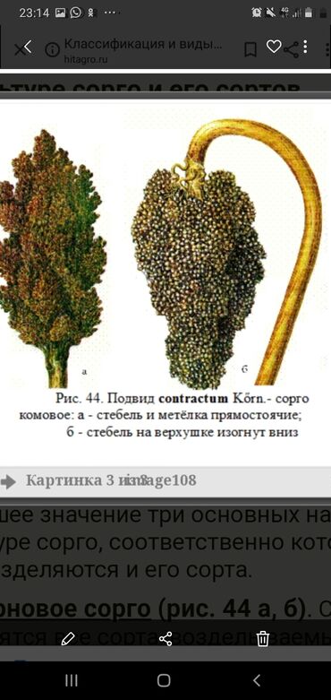 смола цена бишкек: Жугору карасы агы болсо сатып алам баасы келишим