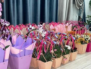 Каланхоэ: Каланхоэ в декоративном пакете‑кашпо “Specially” - Живые горшечные — 11