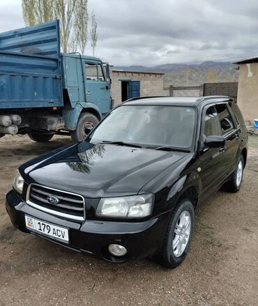 Subaru: Subaru Forester: 2003 г., 2 л, Автомат, Бензин, Универсал