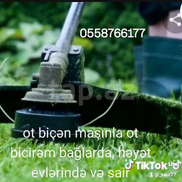 landşaft dizayn: Peşəkar ot biçmə xidməti - Otbiçən maşınla bağlarda, həyətyanı — 1