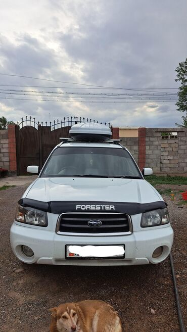 срочно продать машину: Subaru Forester: 2003 г., 2 л, Автоматические, Бензин, Универсал