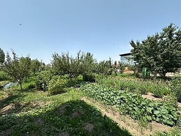 Продажа коттеджей и домов: Ак-Суу (📍Теплоключенка)! Улица - Октябрьская 82 🏡 Площадь дома — 42