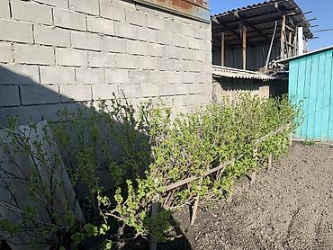 Продажа коттеджей и домов: Продаётся частный дом с мебелью на фото. Описание: Каракол, Салиева 35 — 5