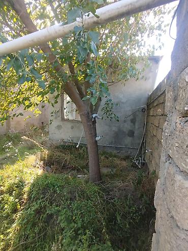 xutor ev: Maştağa qəs. 2 otaqlı, 50 kv. m, Kredit yoxdur, Orta təmir — 1