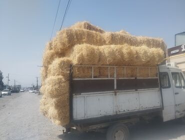 ячмень цена: Саман