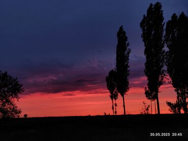 пицца печь б у: Айылга Коро тазалаганга Бир Адам керек тезек чапканга . Жата кана