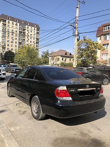 Toyota: Toyota Camry: 2005 г., 2.4 л, Автомат, Бензин, Седан — 4