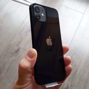 чехол на 12 мини: IPhone 12, Кара