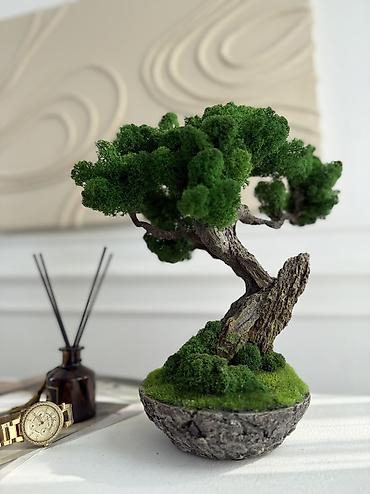 Другой декор и предметы интерьера: Декоративное дерево бонсай, выполненное из стабилизированного мха — 34