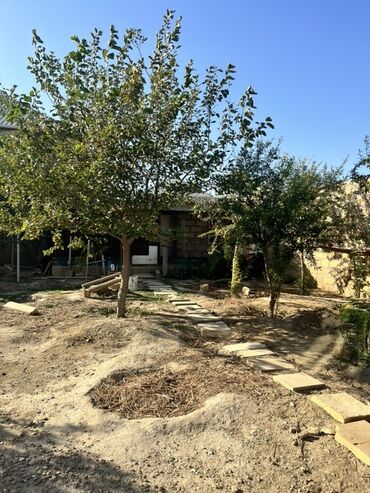 Həyət evləri və villaların satışı: 6 otaqlı, 100 kv. m, Kredit yoxdur, Orta təmir -da lalafo.az — 10 Həyət evləri və villaların satışı: 6 otaqlı, 100 kv. m, Kredit yoxdur, Orta təmir — 10