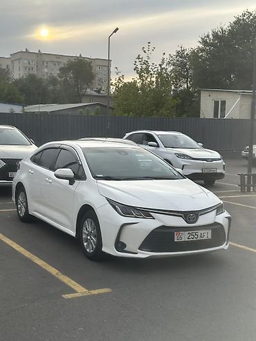 byd e2 2024: Toyota Corolla: 2019 г., 1.8 л, Вариатор, Гибрид — 2
