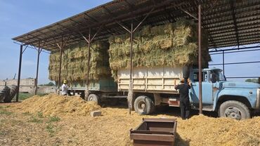 зеркало ниссан патфайндер: ЗИЛ : | 1988 г. Фургон