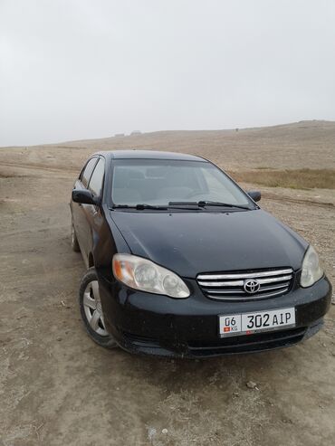 машины таёта: Toyota Corolla: 2002 г., 1.6 л, Газ, Седан