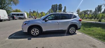 алфард продажа: Subaru Forester: 2019 г., 2.5 л, Вариатор, Бензин, Кроссовер