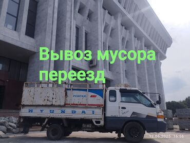 сколько стоит черепаха маленькая в бишкеке: Портер такси Портер такси Портер такси Портер такси Портер такси