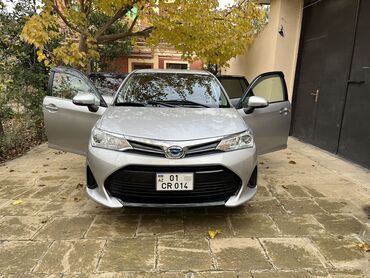 Toyota: Toyota Corolla: 1.5 l | 2019 il Universal — 14