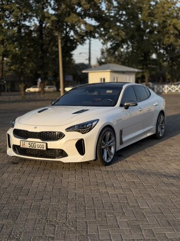 очки для вождения: Kia : 2017 г., 3.3 л, Автомат, Бензин