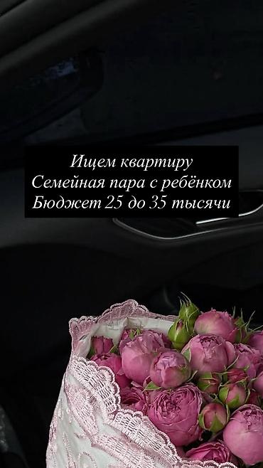 тынчтык ж м: Ищем 1‑комнатную квартиру, либо студию с условием, всё еще ищем — 1