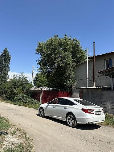 сибирия: Honda Accord: 2020 г., 1.5 л, Вариатор, Бензин, Седан — 3
