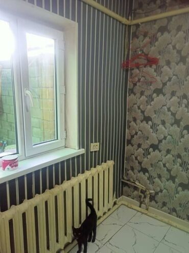 дом петровка: 30 м², 3 комнаты, Подвал, погреб, Забор, огорожен