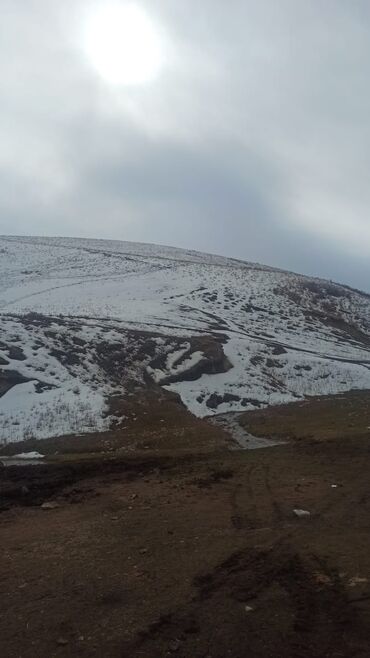 Услуги портера: Заказать Самосвал, Доставка щебня, угля, песка, чернозема, отсев — 21