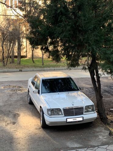 Mercedes-Benz: Mercedes-Benz E-Class: 1995 г., Автомат, Бензин, Седан — 2