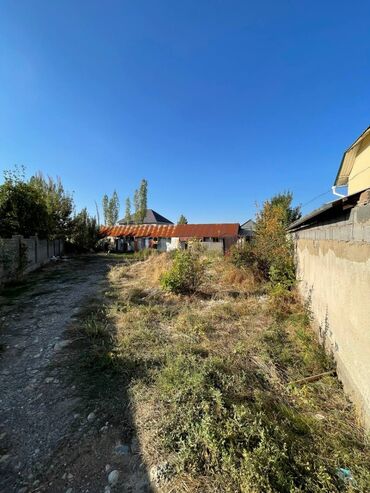 куплю участок село манас: 8 соток, Для бизнеса, Красная книга