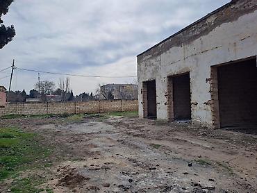 Torpaq sahələrinin satışı: 25 sot, Kupça (Çıxarış) — 14