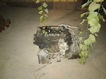 запчасти для daewoo nexia: Шкода Октавия бу двигатель
