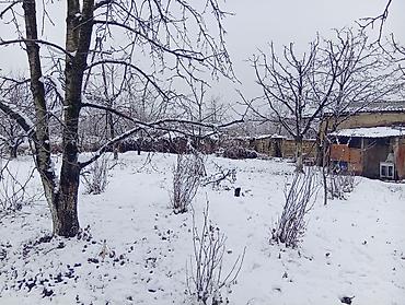 Torpaq sahələrinin satışı: 12 sot, Tikinti, Makler, Müqavilə — 6