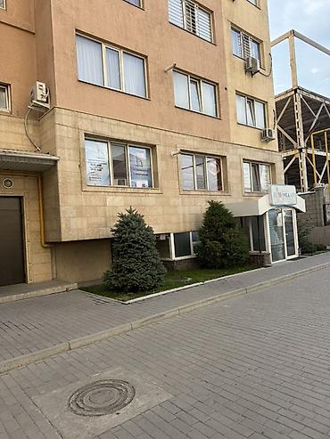 круглый: Ателье офисмасаж для ресниц салон красоты Ит - Формат — 5