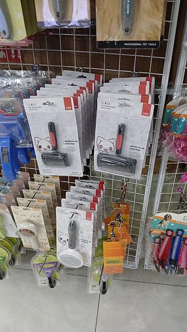 Pişiklər: Erkək, Pulsuz çatdırılma — 15