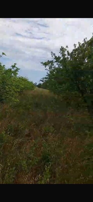 Torpaq sahələrinin satışı: 150 sot, Biznes üçün, Barter mümkündür, Kupça (Çıxarış) — 14