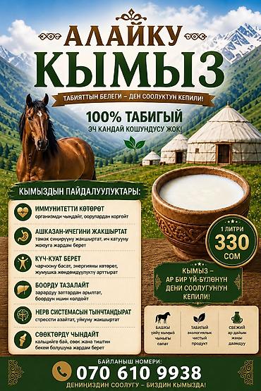 сутычные квартиры ош: Таза кымыз ыштуу, кошулмасыз — 1