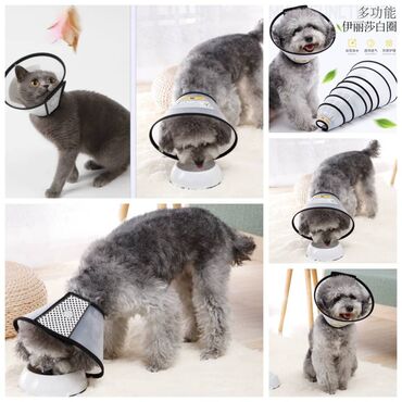 Зоотовары: Продаю приспособление для выращивания травы для животных и людей(в — 5