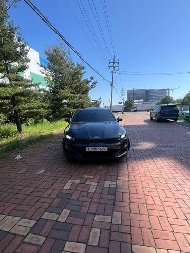 авто накидки: Kia K5: 2020 г., 2 л, Автомат, Газ, Седан