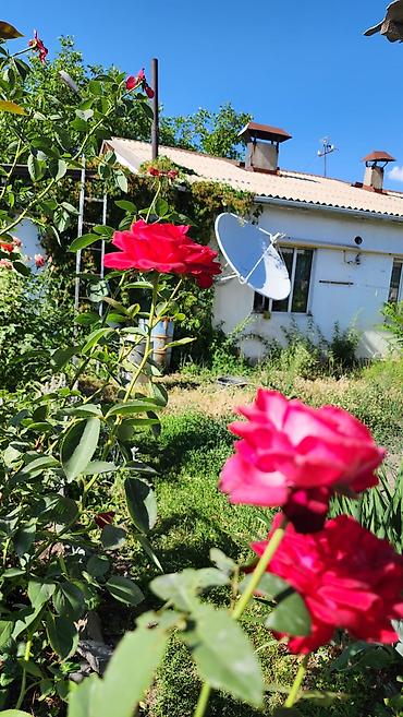 Продажа коттеджей и домов: Продам Дом, в Сокулуке, для семьи с детьми, на тихой, безопасной — 8