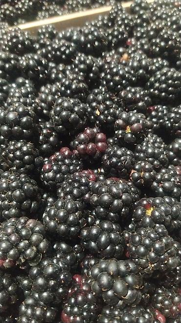 Клубника: Клубника — 16