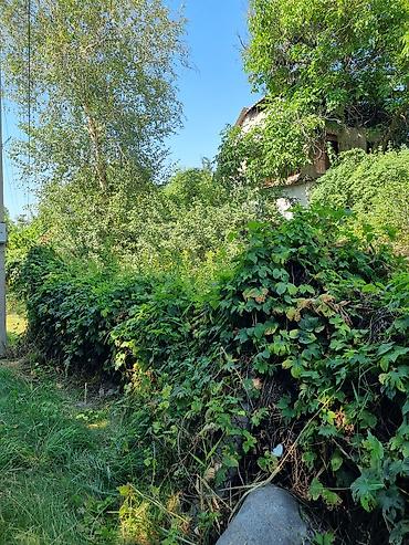бишкнк: 4 соток, Для строительства, Договор купли-продажи — 6