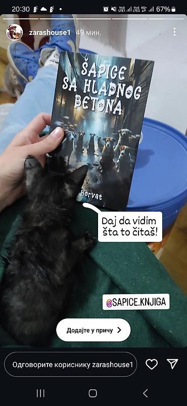 deks rok: Knjiga: Šapice sa hladnog betona – Tina Horvat - Žanr: savremena — 9